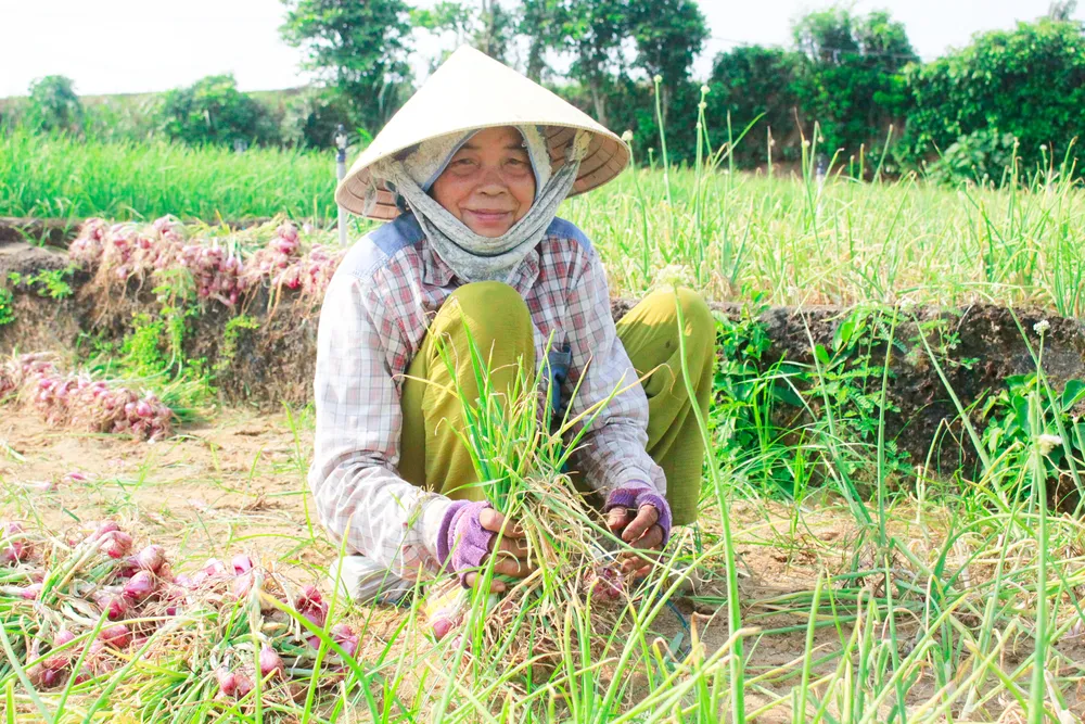 hanh tim 7 (1 of 1).jpg