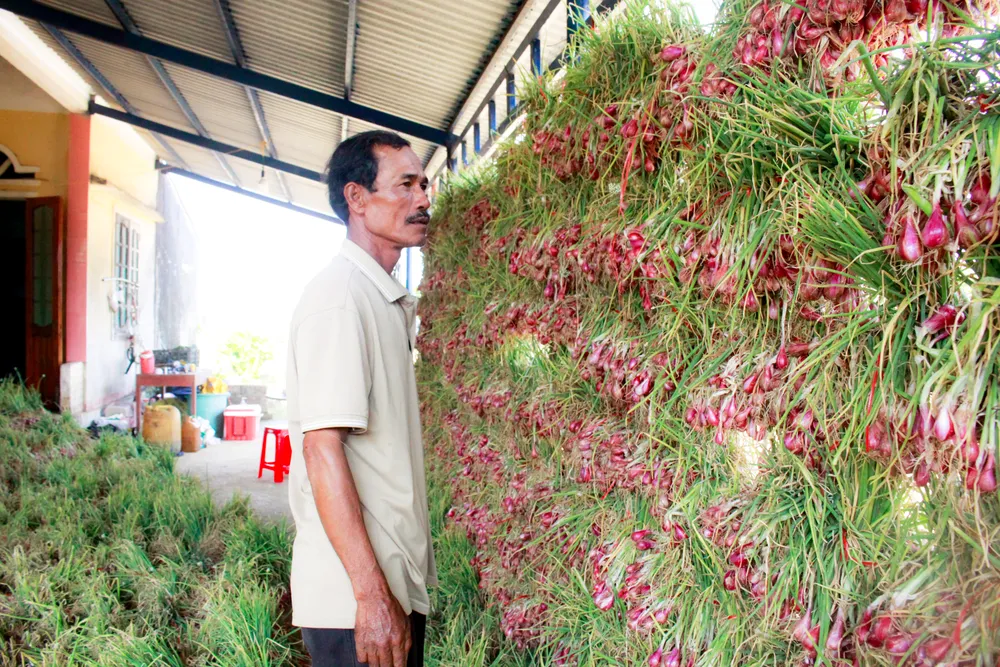 hanh tim 9 (1 of 1).jpg