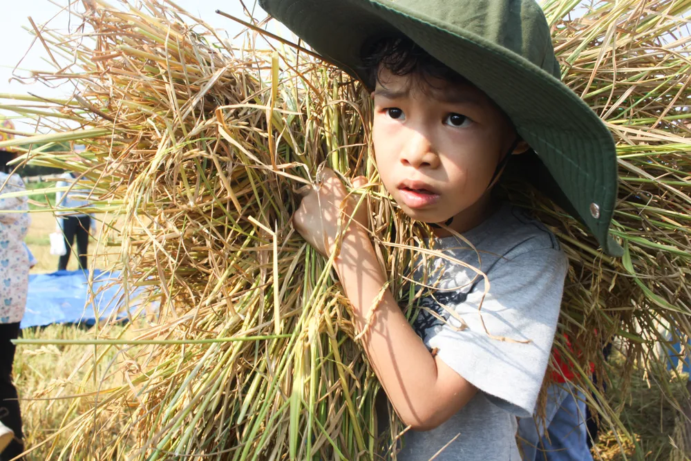 le hoi ngay mua 20 (1 of 1).jpg