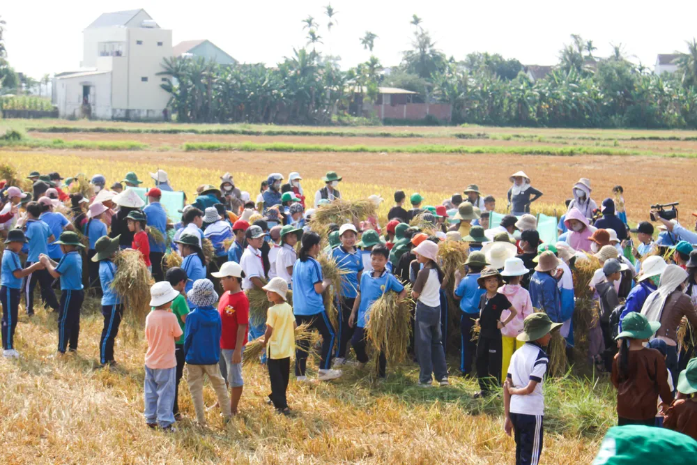 le hoi ngay mua 6 (1 of 1).jpg