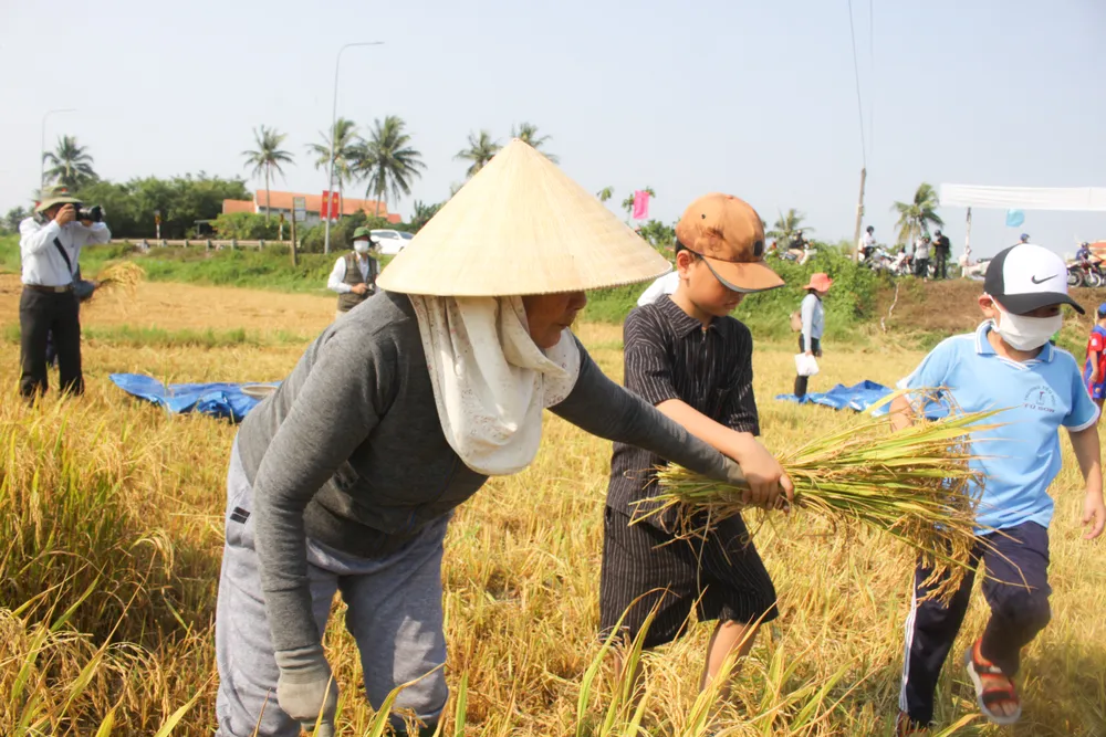 le hoi ngay mua 8 (1 of 1).jpg