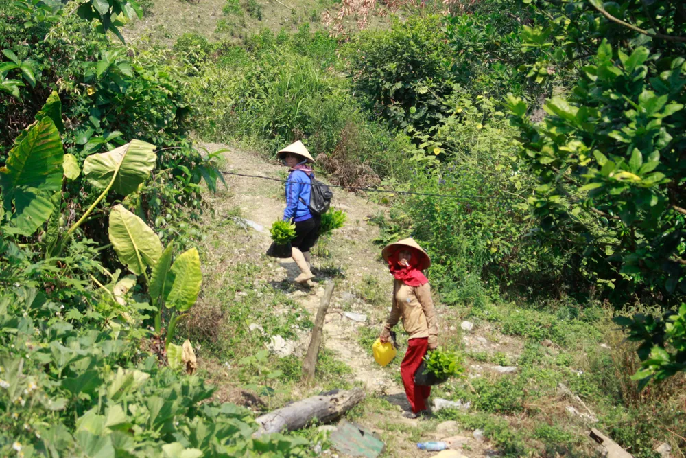 tang 26 (1 of 1).jpg