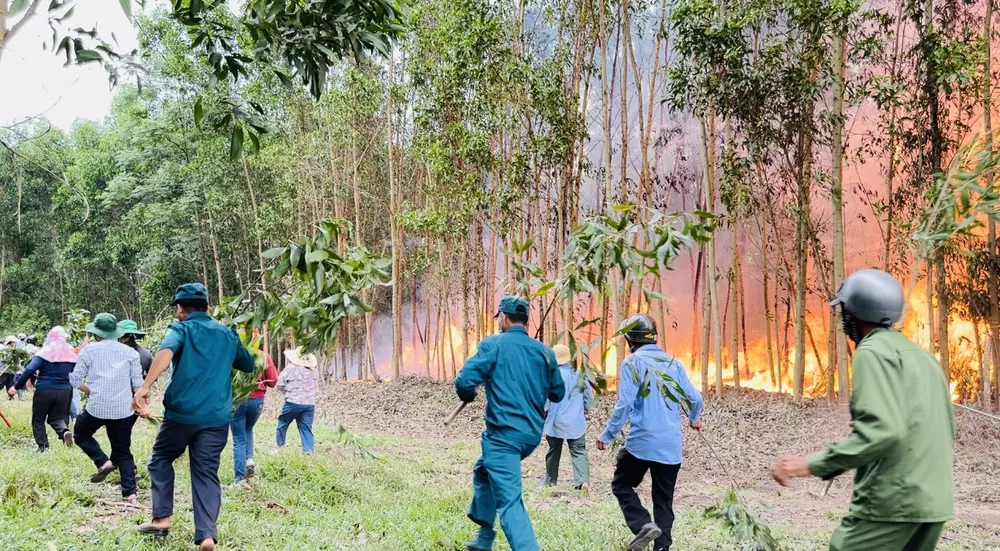 diễn tập cháy rừng