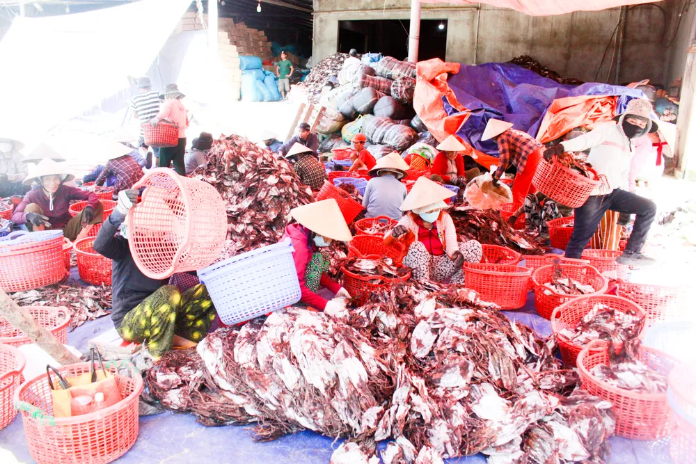 muc xa 3 (1 of 1).jpg