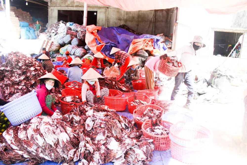 muc xa 4 (1 of 1).jpg