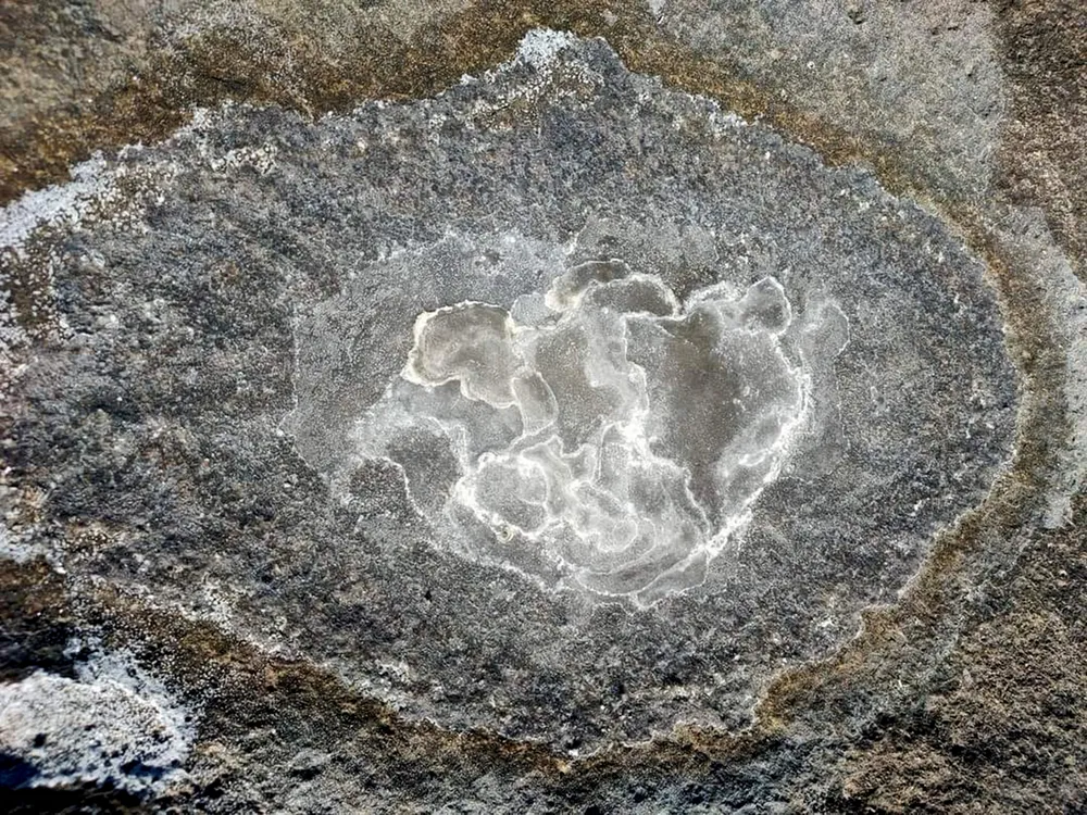 dấu vết muối.jpg