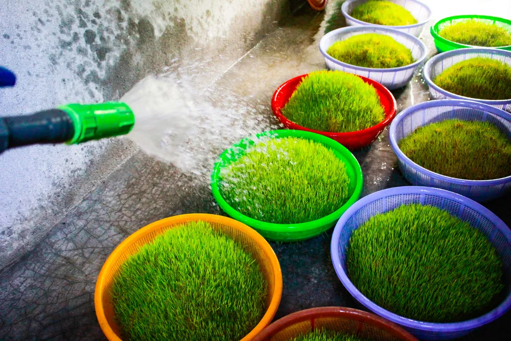 mach nha 11 (1 of 1).jpg