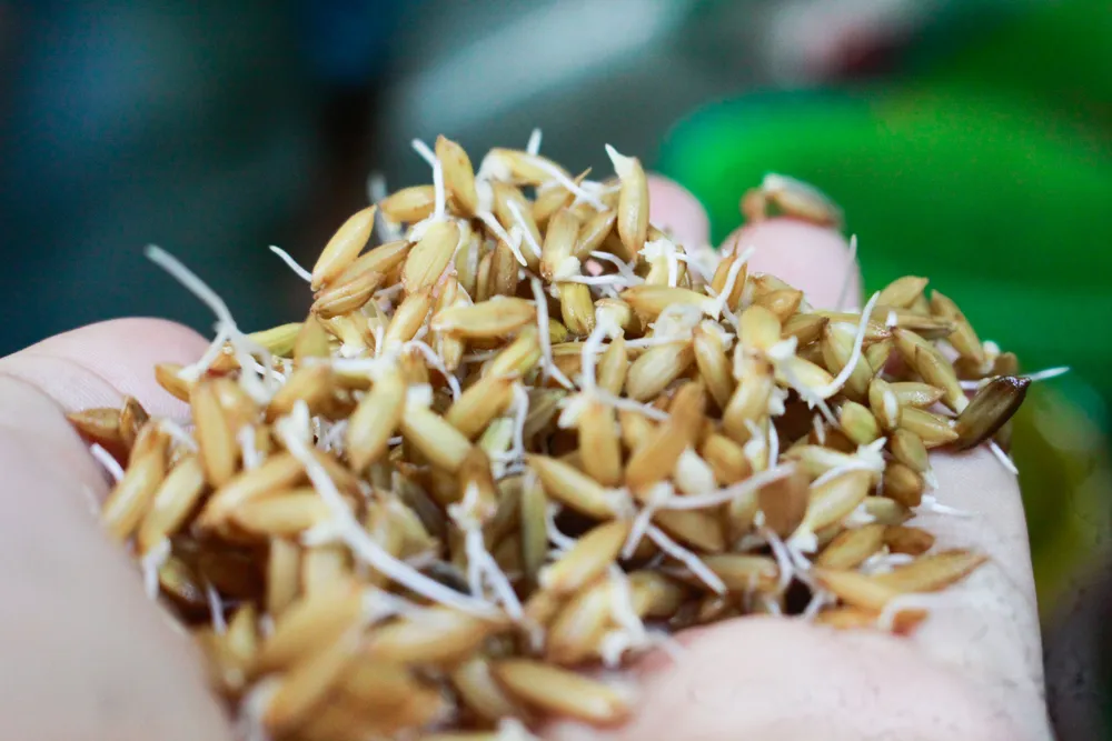 mach nha 28 (1 of 1).jpg