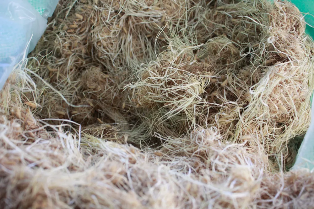 mach nha 3 (1 of 1).jpg