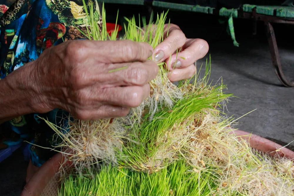 mach nha 41 (1 of 1).jpg