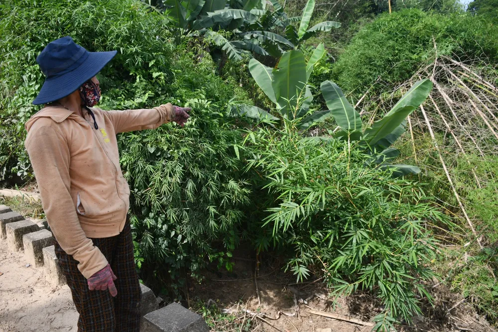 sat lo bo song phuoc giang (4).jpg