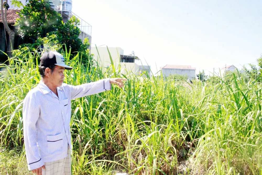 tai dinh cu 5 (1 of 1).jpg