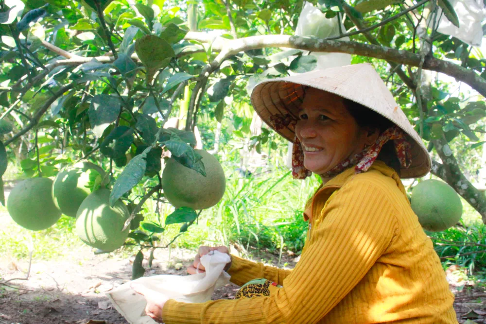 buoi hanh nhan 13 (1 of 1).jpg