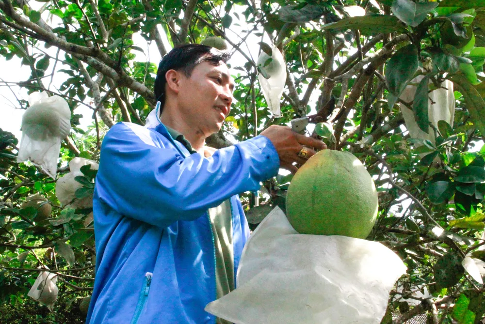 buoi hanh nhan 16 (1 of 1).jpg