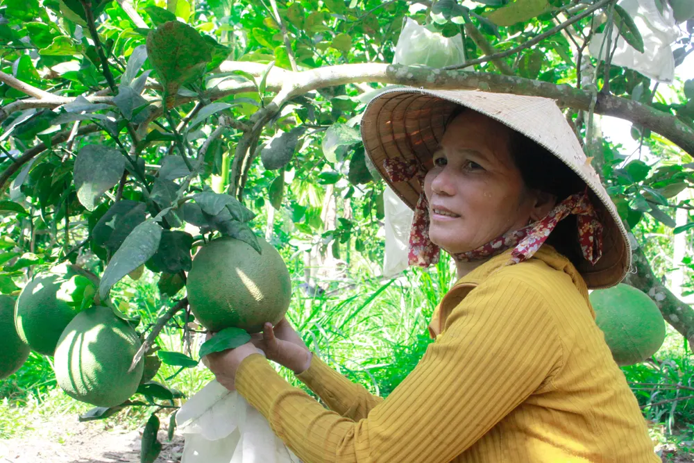 buoi hanh nhan 18 (1 of 1).jpg