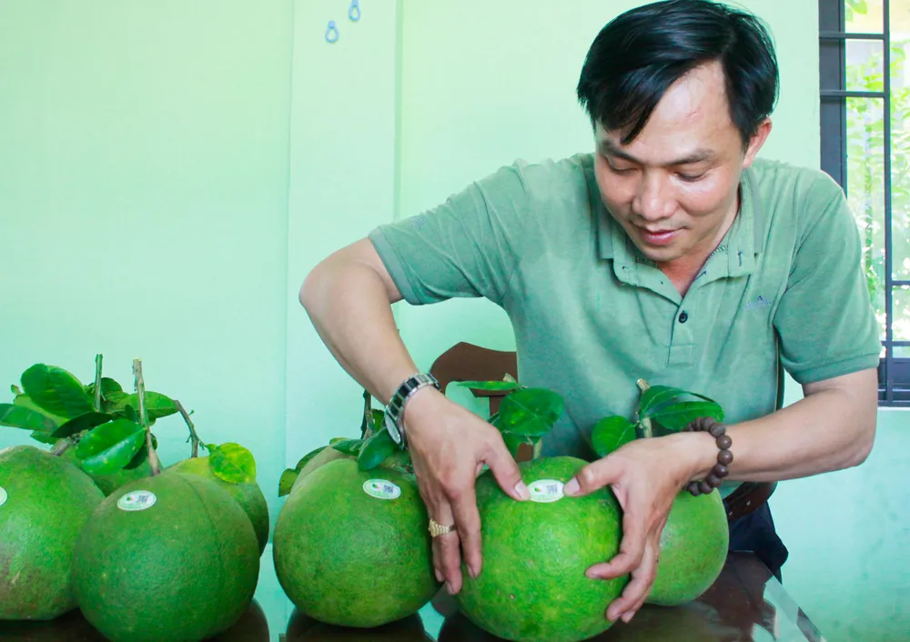 buoi hanh nhan 2 (1 of 1).jpg