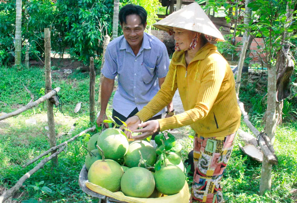 buoi hanh nhan 21 (1 of 1).jpg