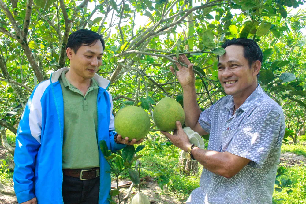 buoi hanh nhan 24 (1 of 1).jpg