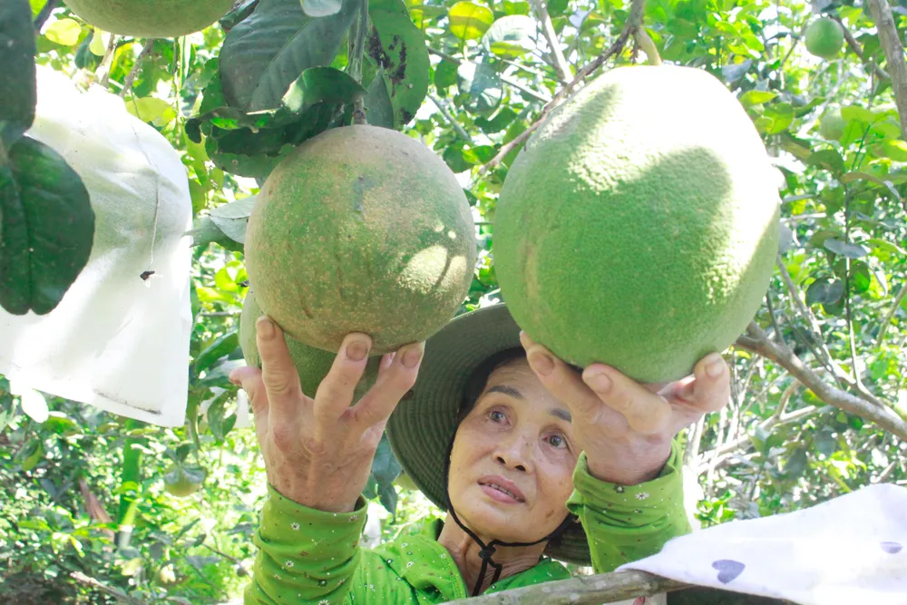 buoi hanh nhan 25 (1 of 1).jpg