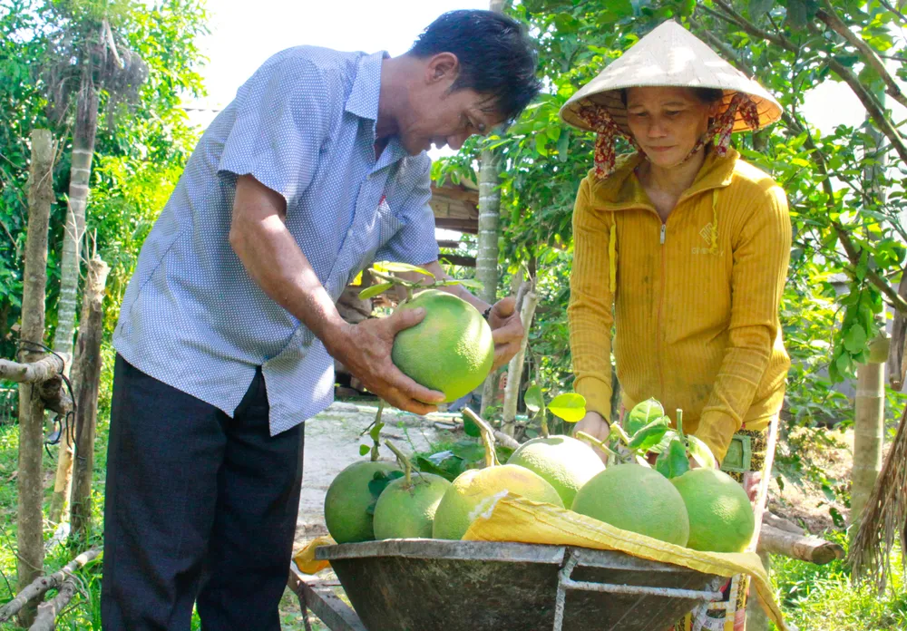 buoi hanh nhan 27 (1 of 1).jpg