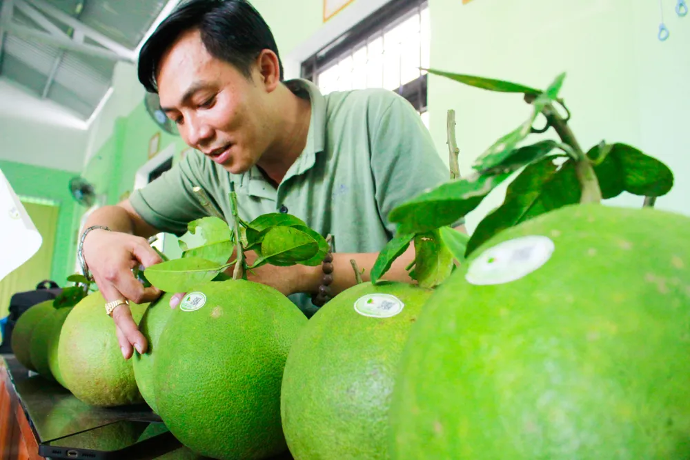 buoi hanh nhan 3 (1 of 1).jpg