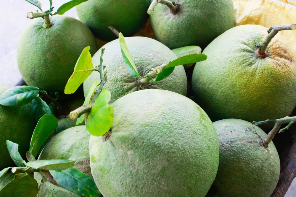 buoi hanh nhan 8 (1 of 1).jpg