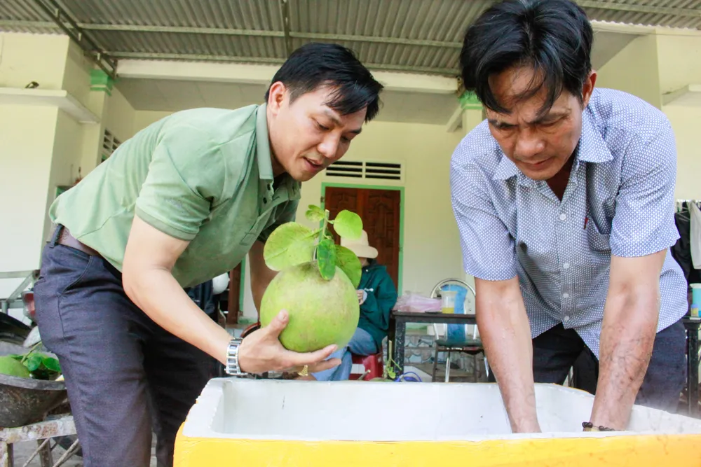 buoi hanh nhan 9 (1 of 1).jpg