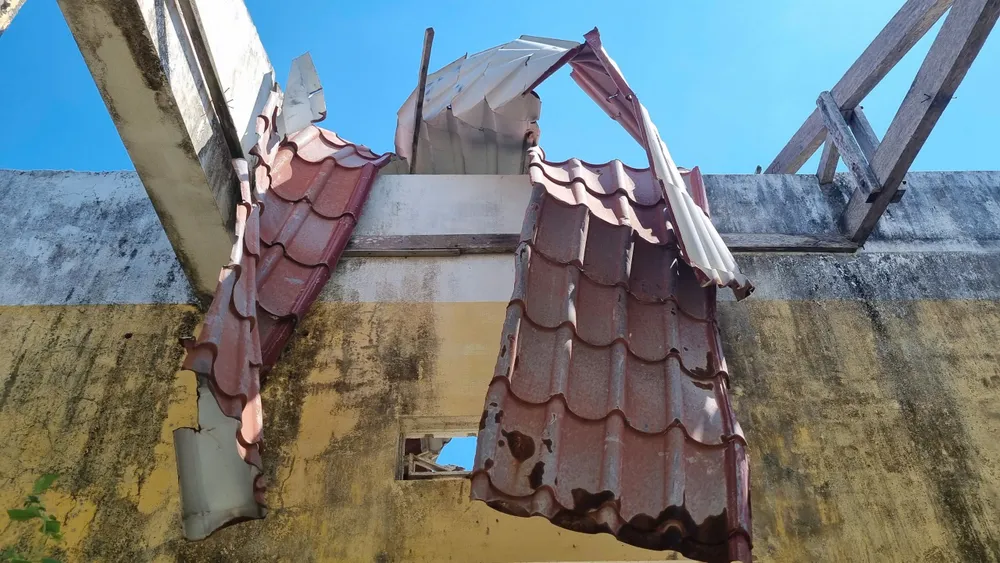 nguyen trang (1).jpg