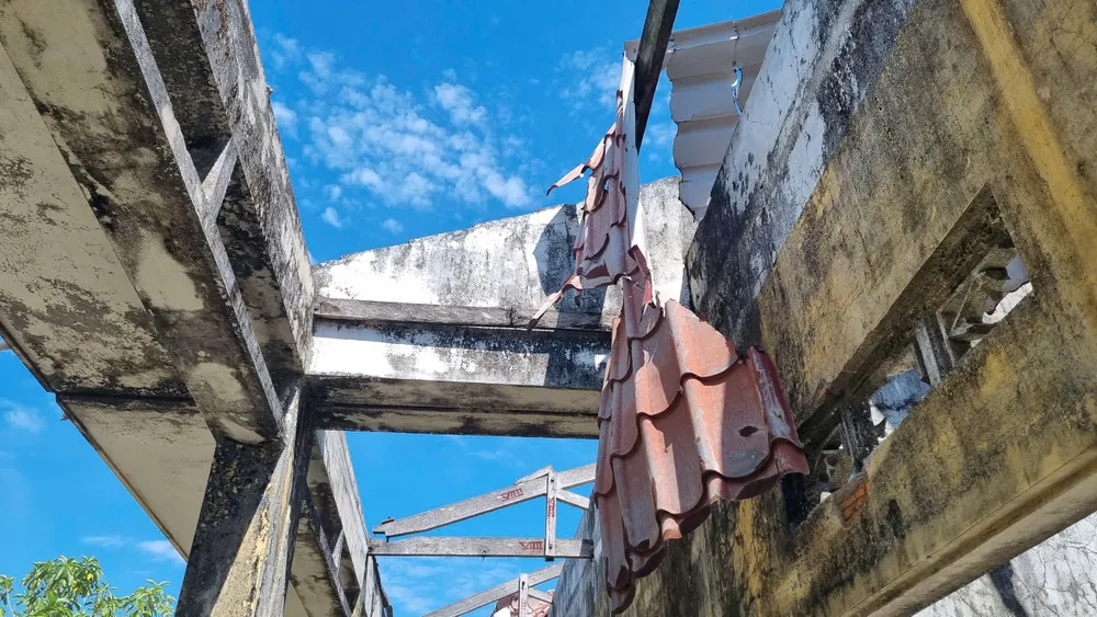 nguyen trang (4).jpg