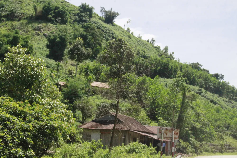 nhà dan nguyễn trang.jpg