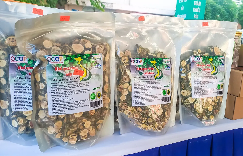 hoi cho 1 (1 of 1).jpg