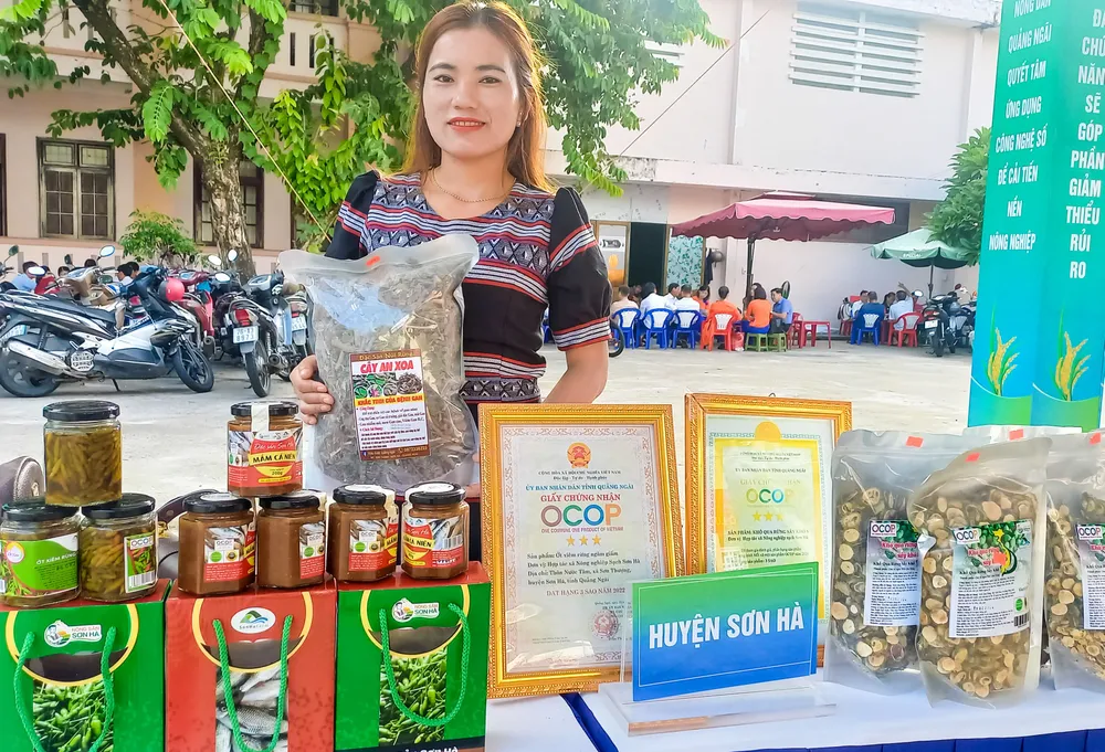 hoi cho 2 (1 of 1).jpg