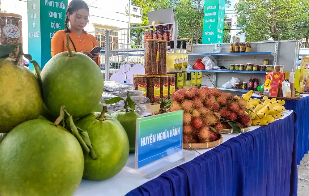 hoi cho 3 (1 of 1).jpg