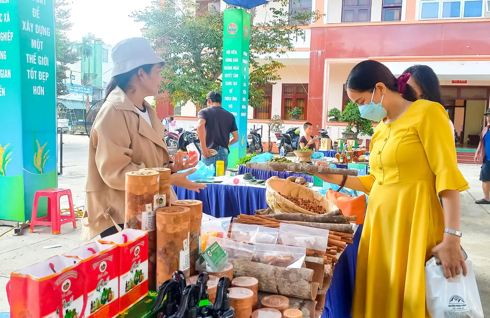 hoi cho 5 (1 of 1).jpg