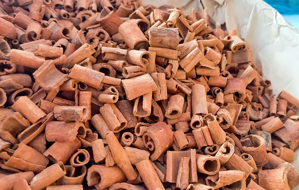 hoi cho 6 (1 of 1).jpg