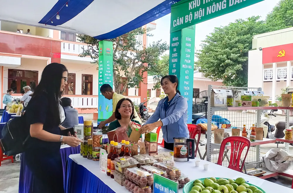 hoi cho 9 (1 of 1).jpg