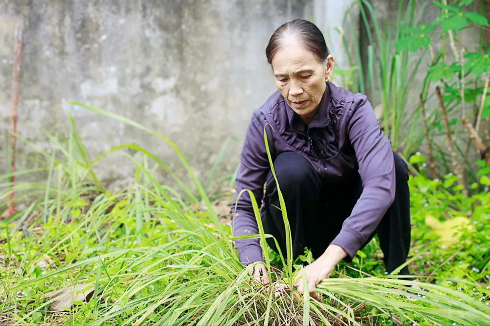 bà hường chăm lo tre em (3).jpg