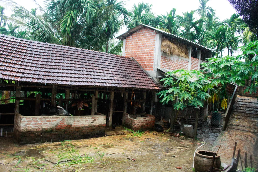 hành tín đông 1 (1 of 1).jpg