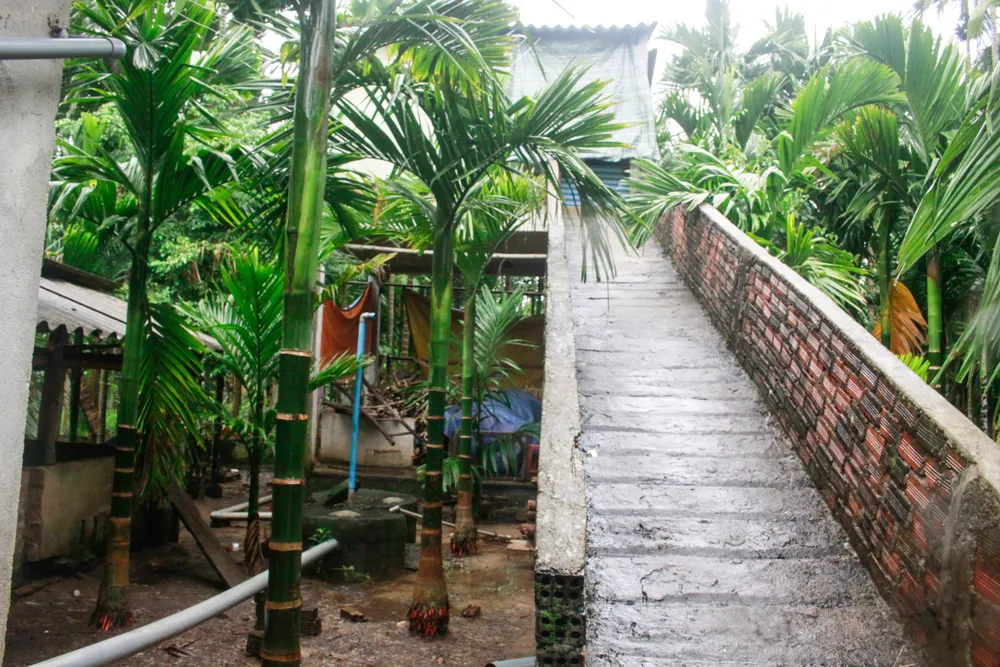 hành tín đông 4 (1 of 1).jpg