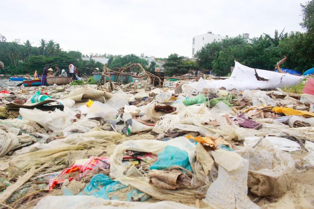 vỏ sò 5 (1 of 1).jpg