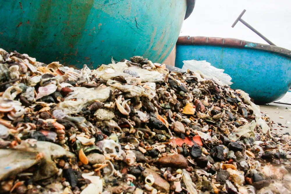 vỏ sò 7 (1 of 1).jpg