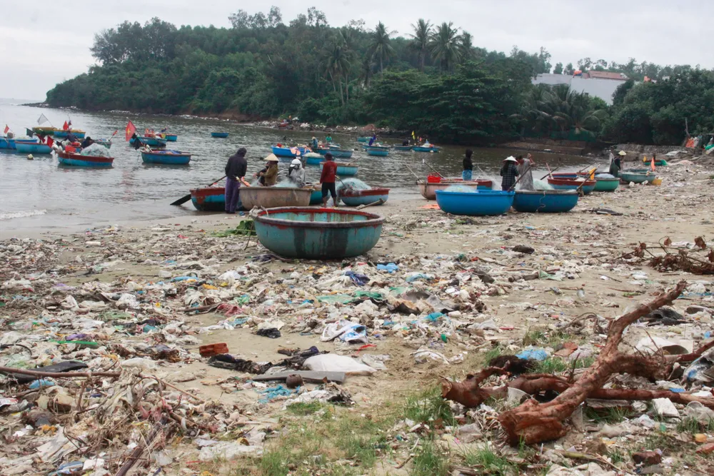 vỏ sò 8 (1 of 1).jpg