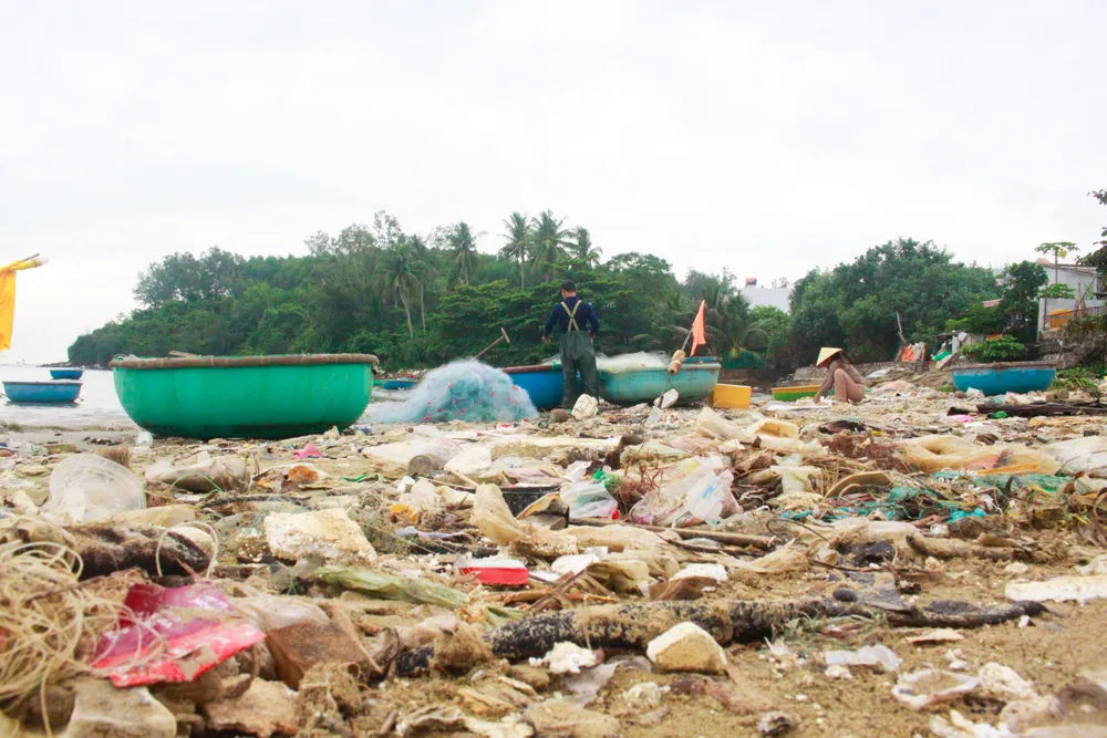 vỏ sò 9 (1 of 1).jpg