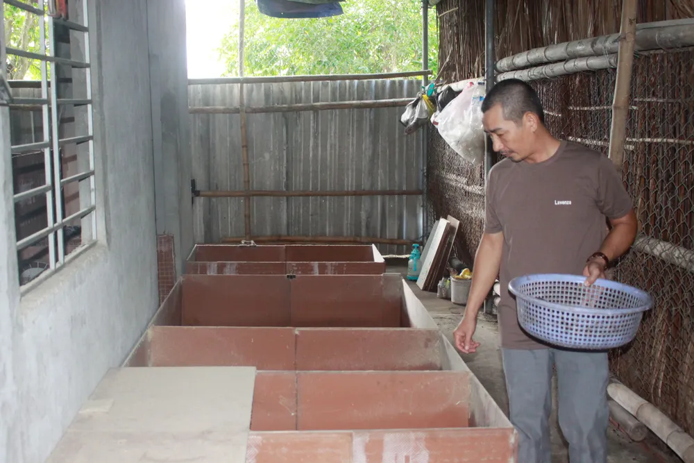 nuoi dui 2 (1 of 1).jpg