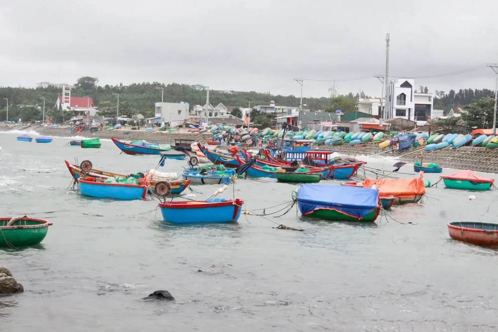 bao só 3 (1 of 1).jpg