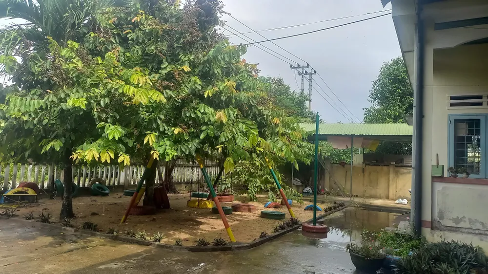 nguyễn trang (1).jpg