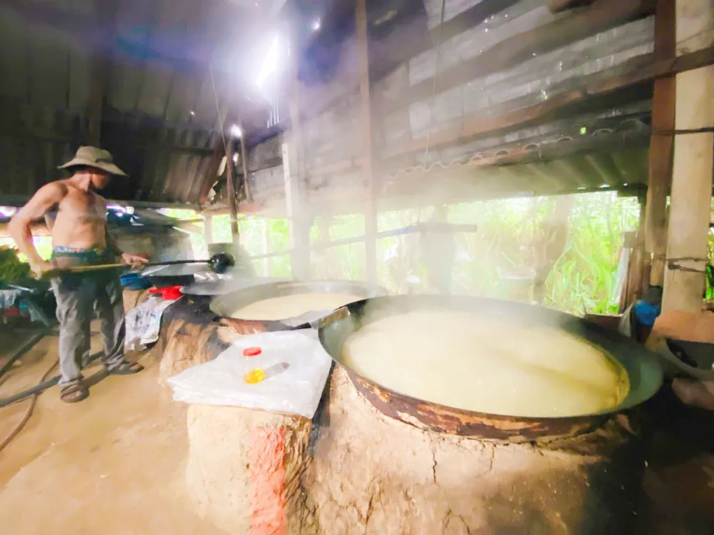 lam duong mia 16 (1 of 1).jpg