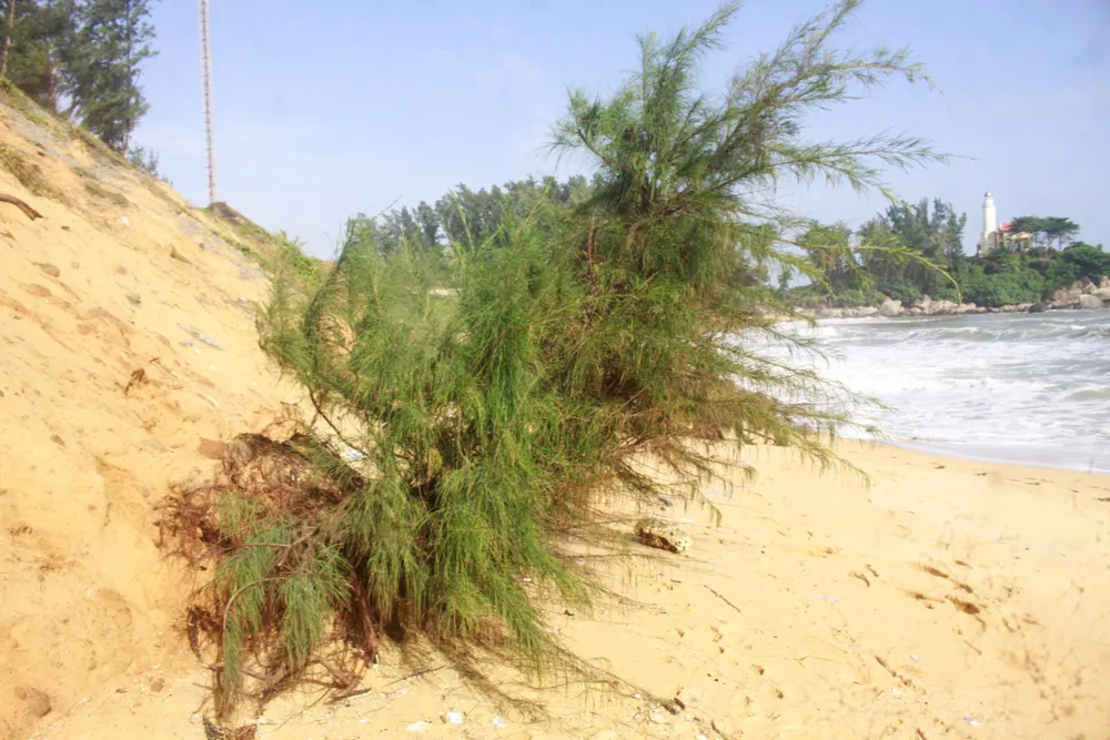 sat lơ bo bien 5 (1 of 1).jpg