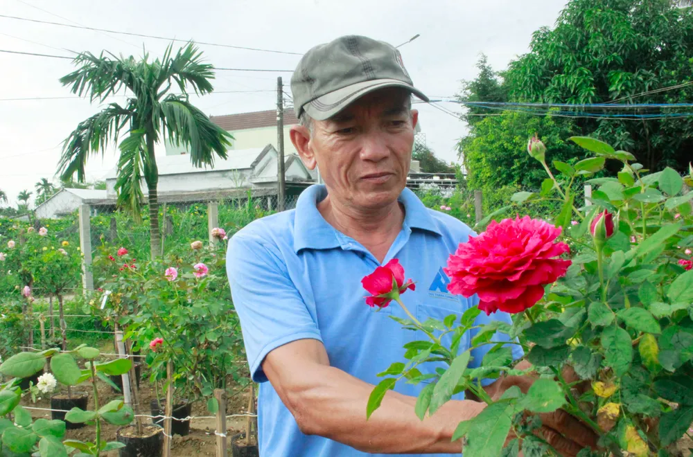 hoa hong 4 (1 of 1).jpg