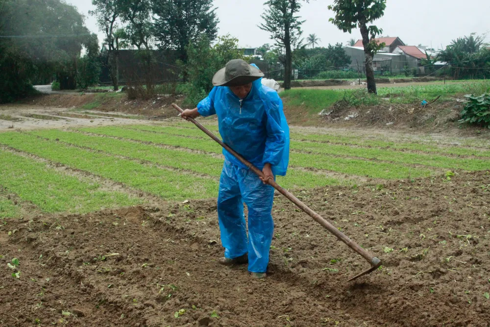 rau mau ngap 18 (1 of 1).jpg